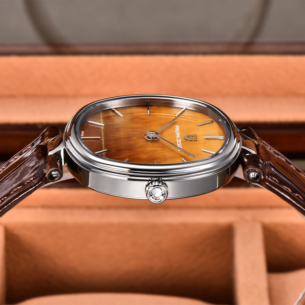 PAGANI DESIGN 2026 Jam Tangan  - Anti-Magnetic Watch ulasan dan harga